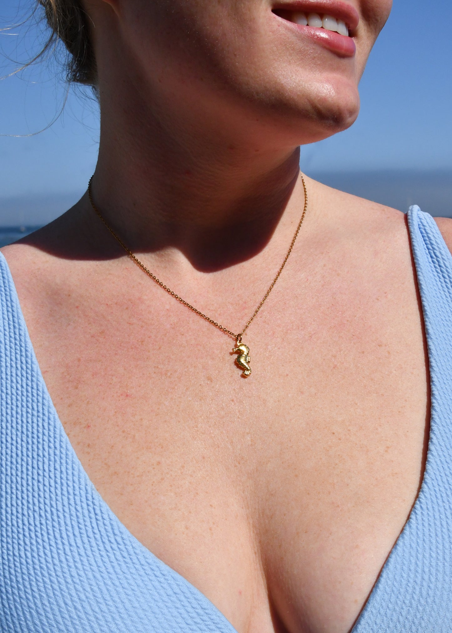 Seahorse Charm