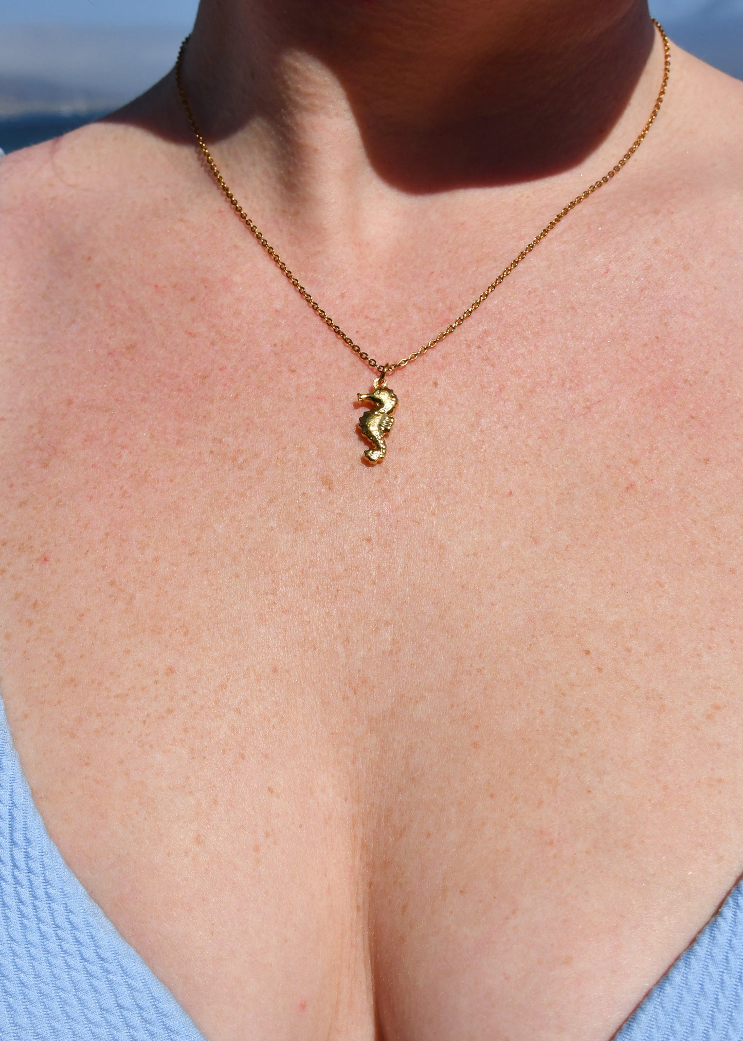 Seahorse Charm