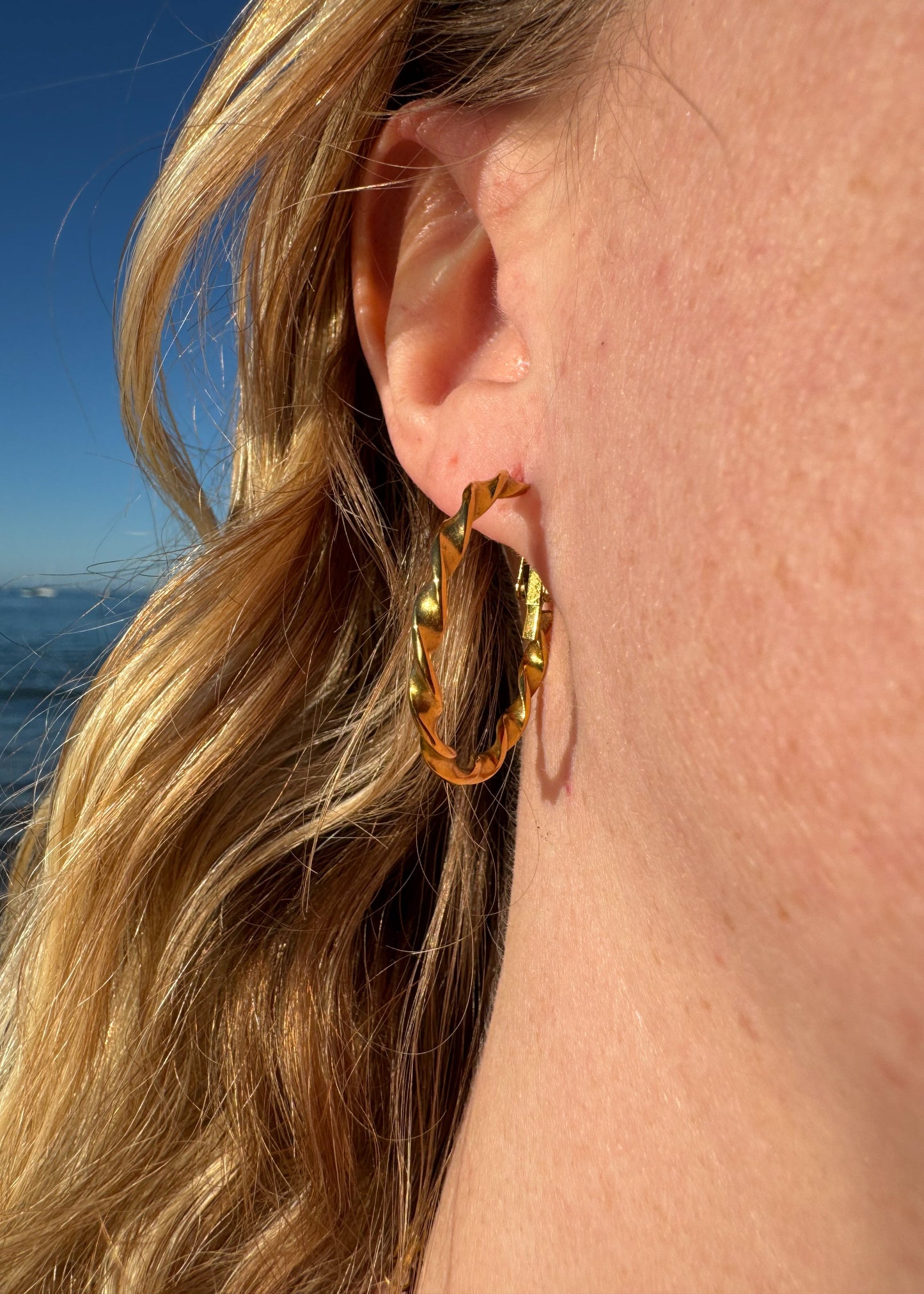 Twisted Hoop Earrings