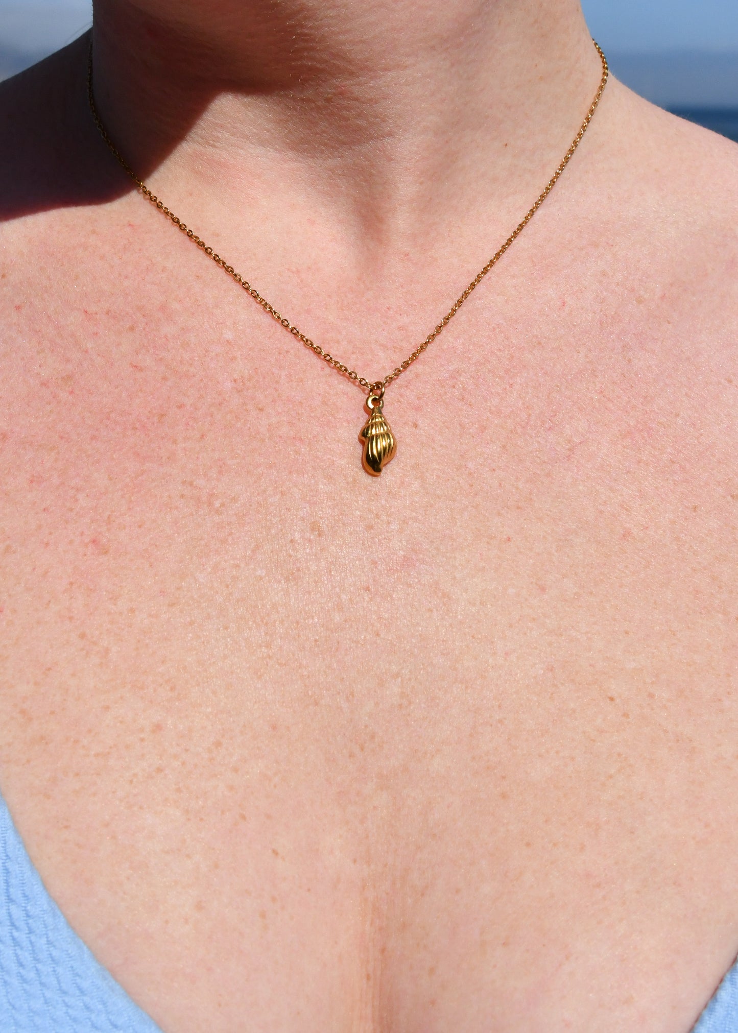 Shell Charm
