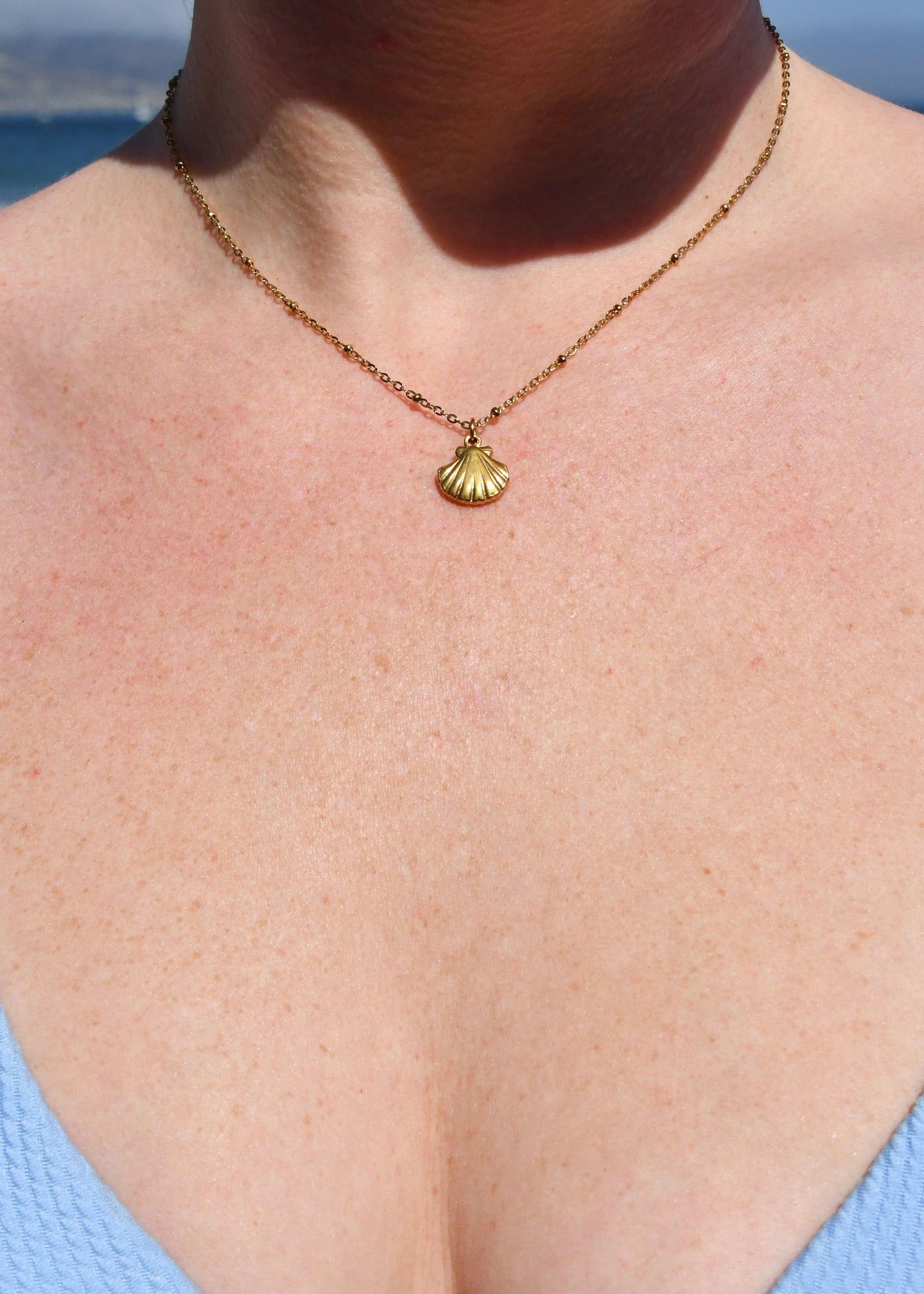Clam Charm