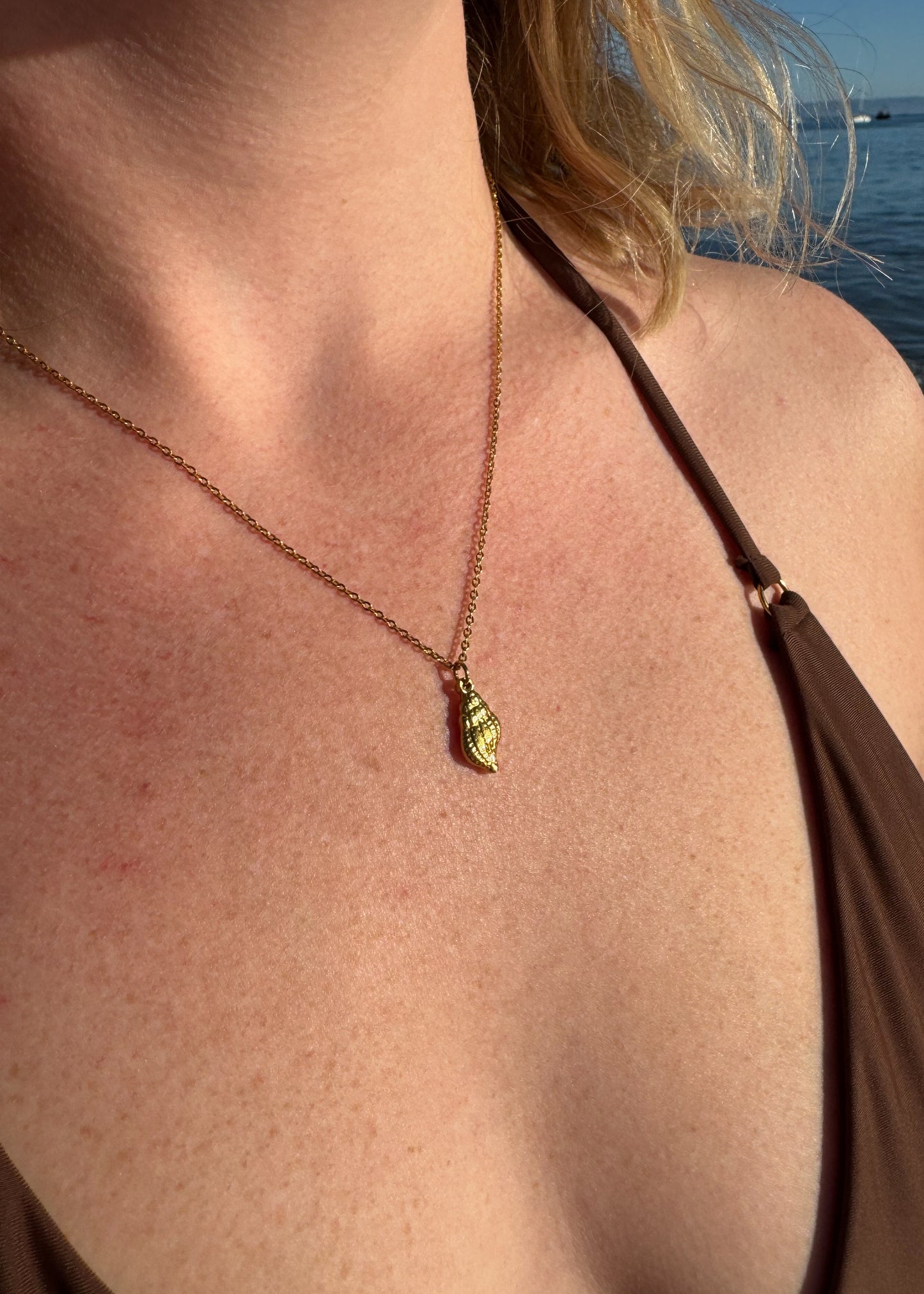 Shell Charm