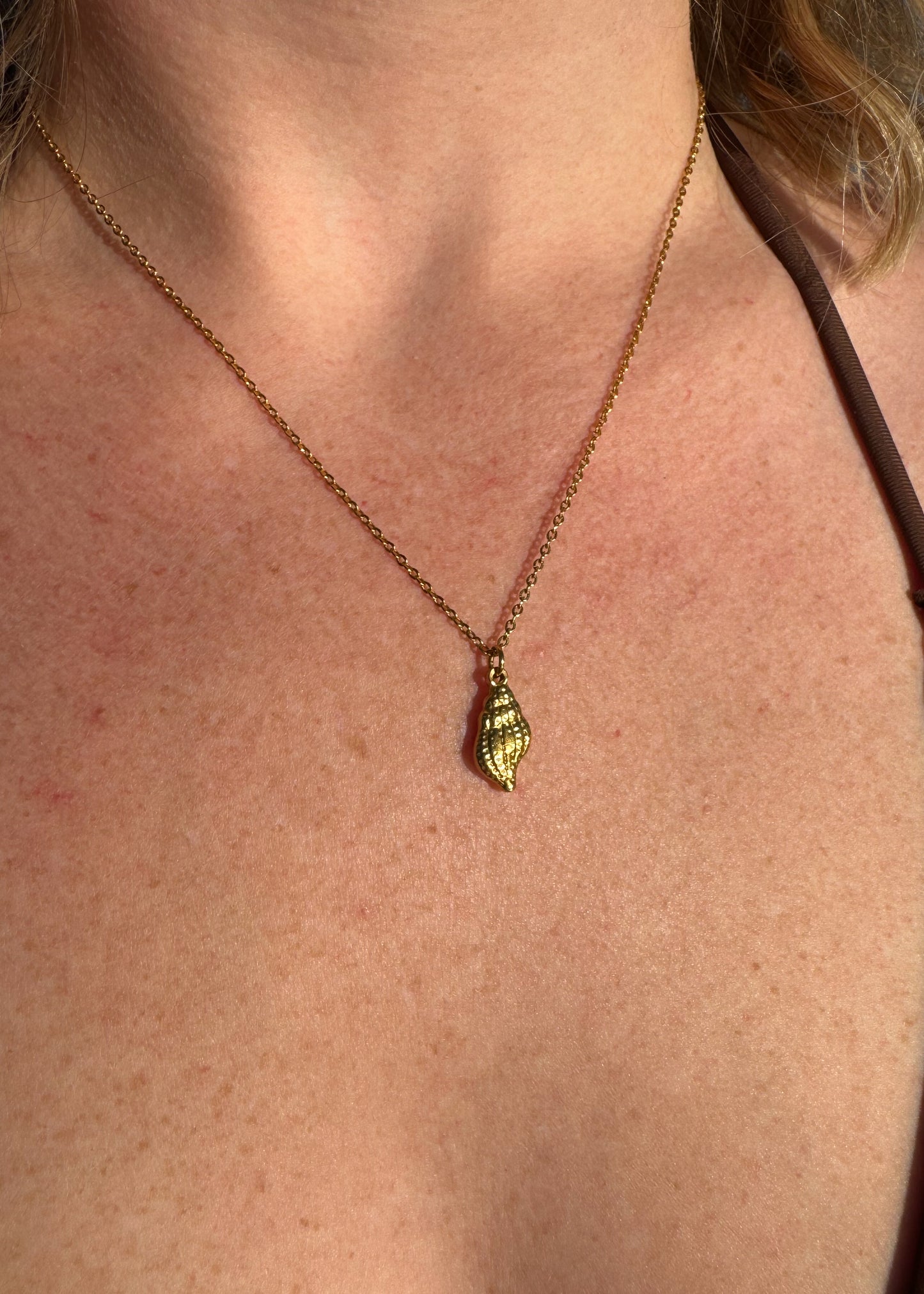 Shell Charm