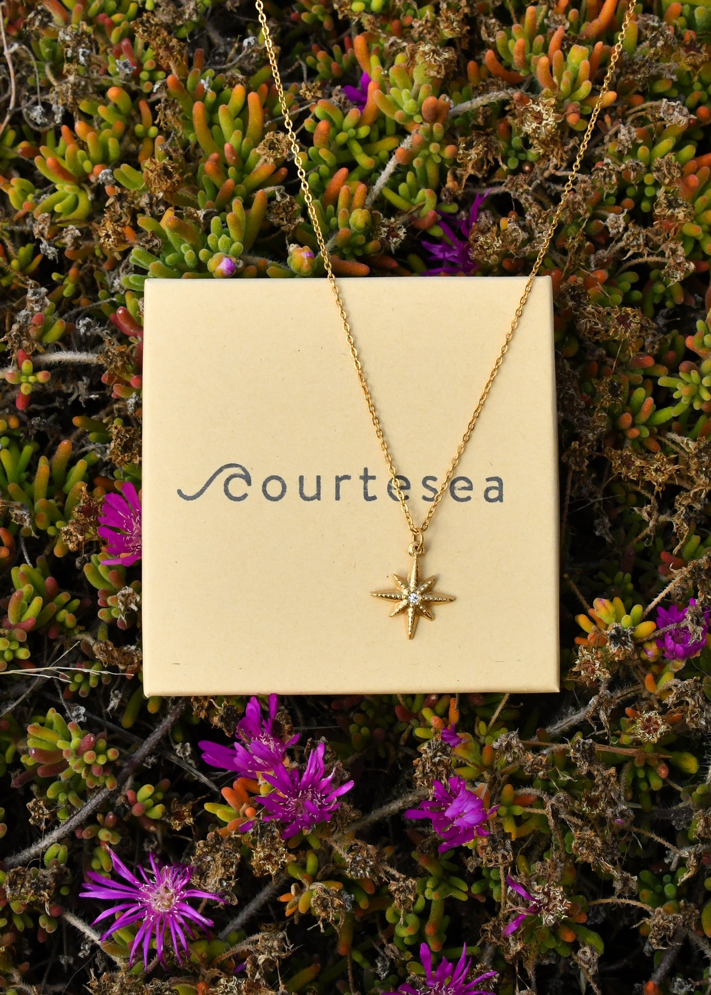 Compass Star Charm