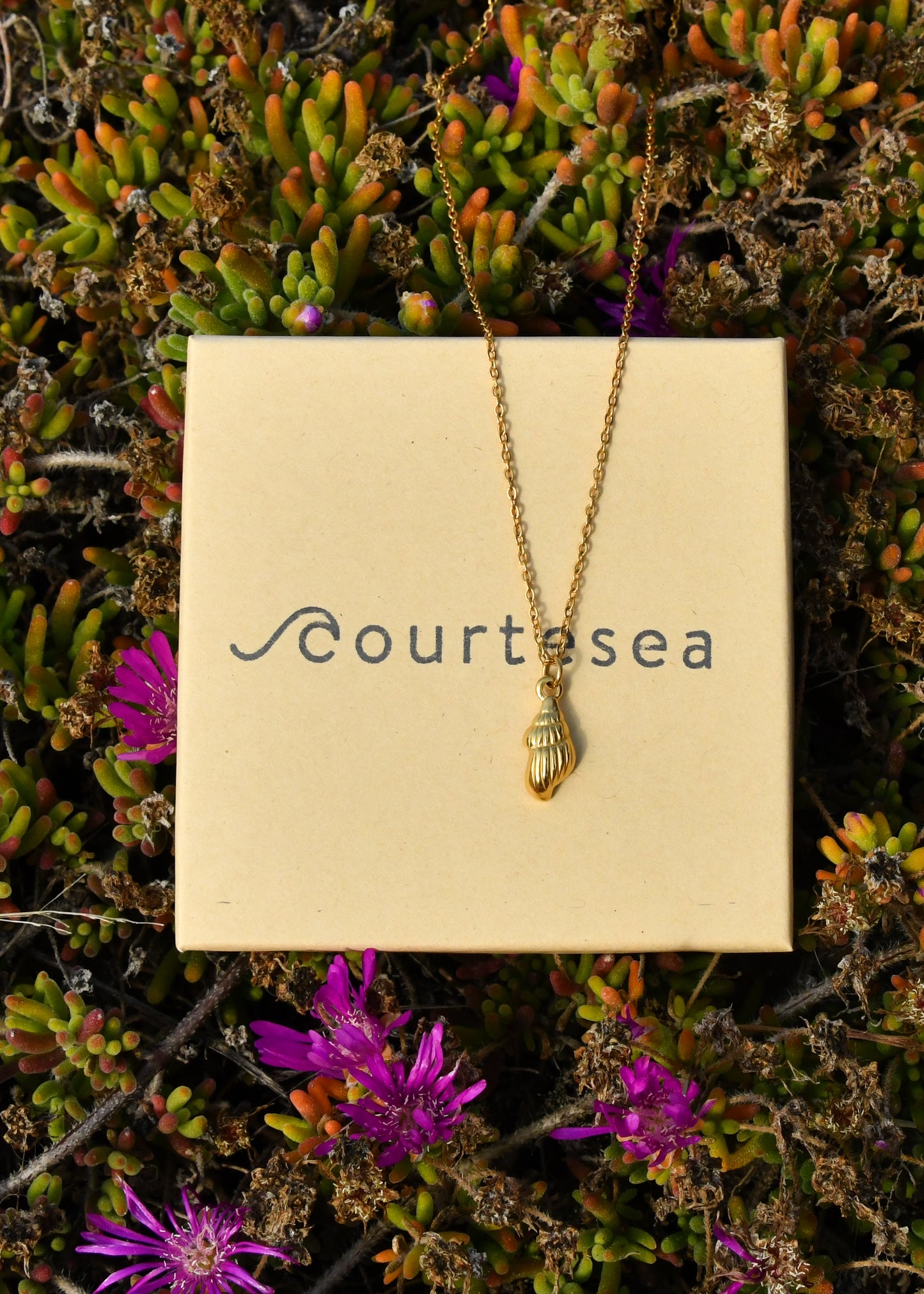 Shell Charm