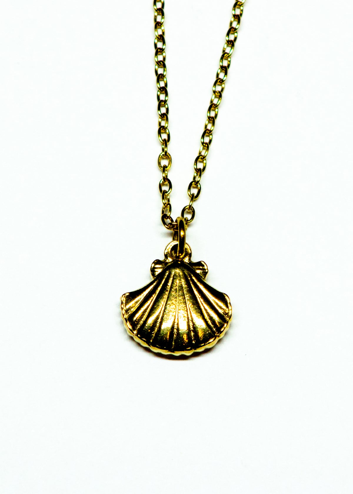 Clam Charm